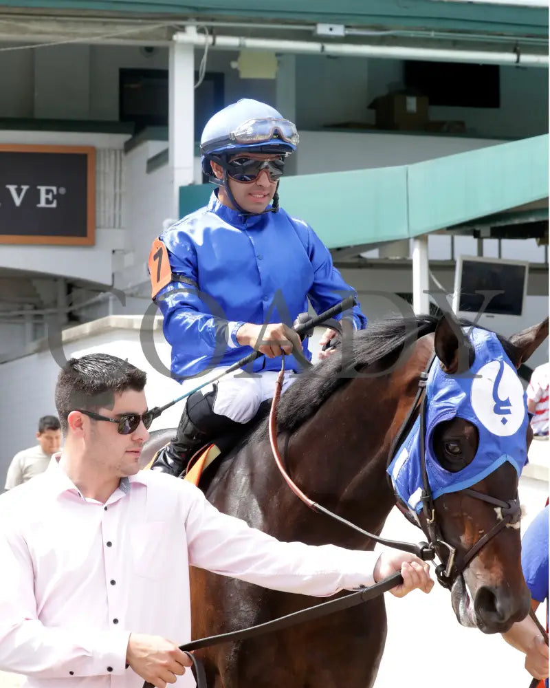 EAST AVENUE - The Matt Winn G3 - 28th Running - 06-08-25 - R08 - CD - Post 02 Churchill Downs
