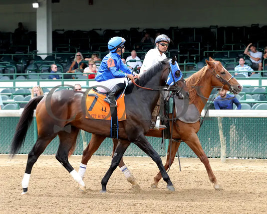 EAST AVENUE - The Matt Winn G3 - 28th Running - 06-08-25 - R08 - CD - Post Parade 02 Churchill Downs
