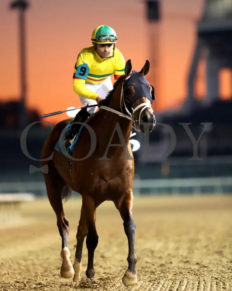 Echo Lane - 111624 Race 11 Cd Come Back 01 Churchill Downs