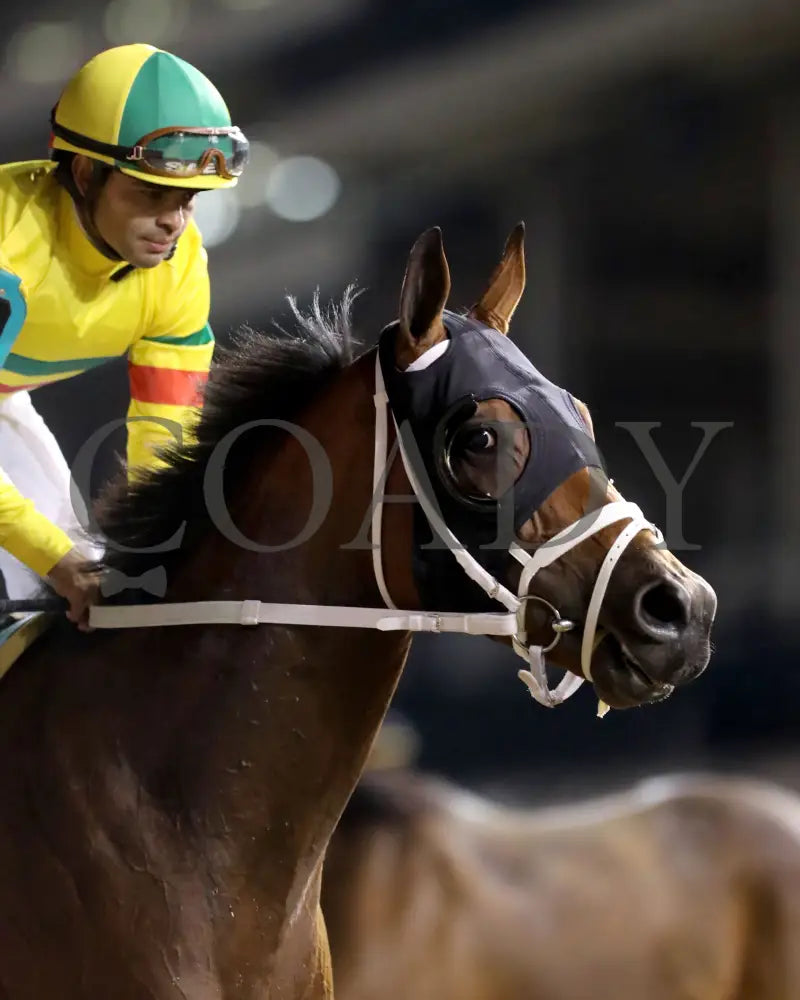 Echo Lane - 111624 Race 11 Cd Come Back 02 Churchill Downs