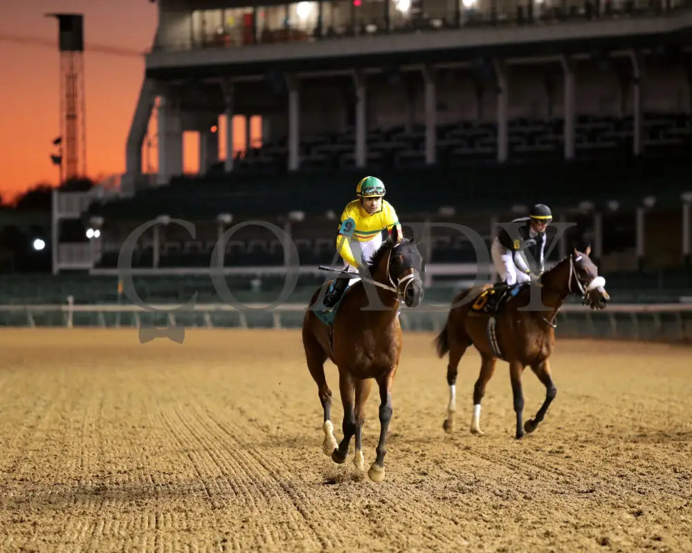 Echo Lane - 111624 Race 11 Cd Come Back 03 Churchill Downs