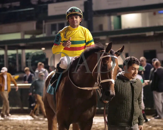 Echo Lane - 111624 Race 11 Cd Come Back 04 Churchill Downs
