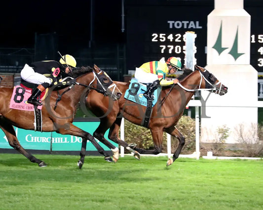 Echo Lane - 111624 Race 11 Cd Finish 01 Churchill Downs