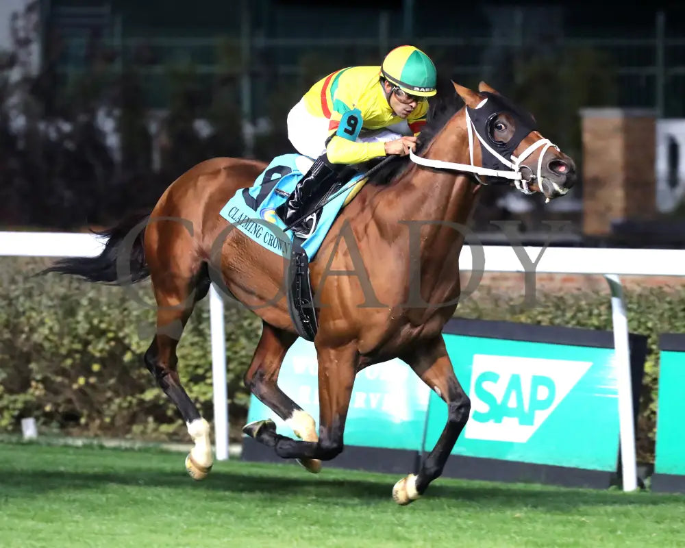 Echo Lane - 111624 Race 11 Cd Finish 02 Churchill Downs