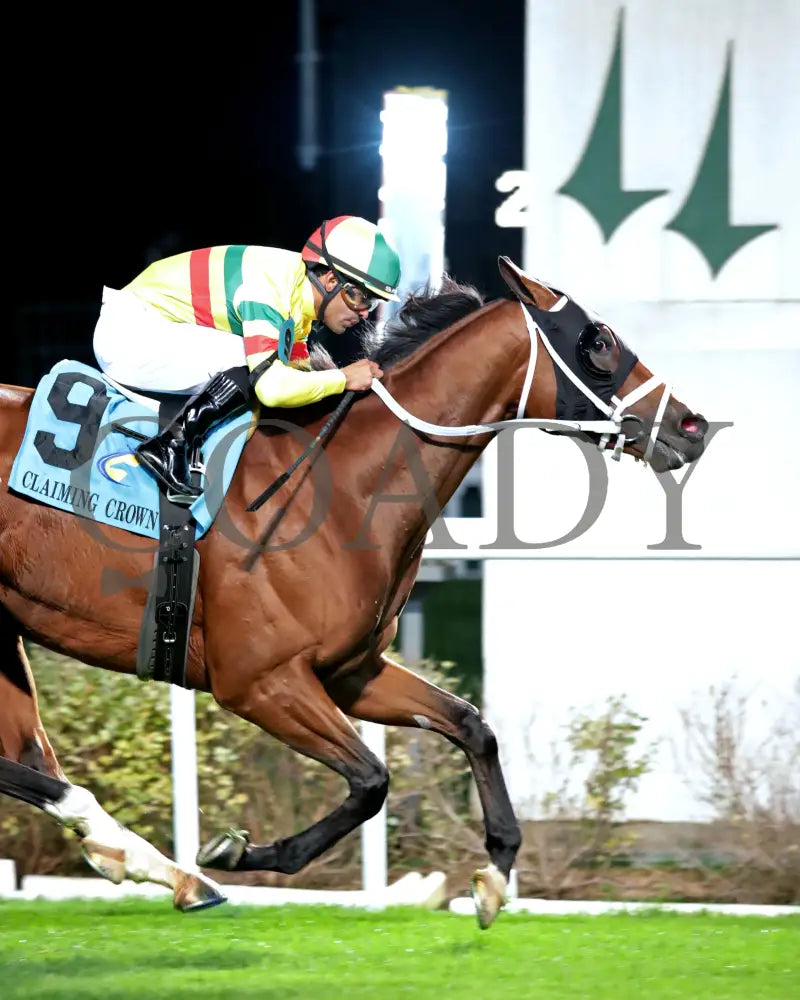 Echo Lane - 111624 Race 11 Cd Finish 03 Churchill Downs