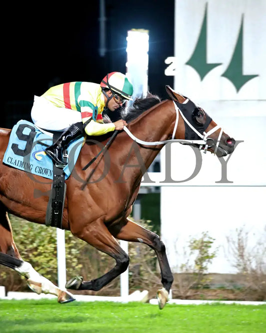Echo Lane - 111624 Race 11 Cd Finish 03 Churchill Downs