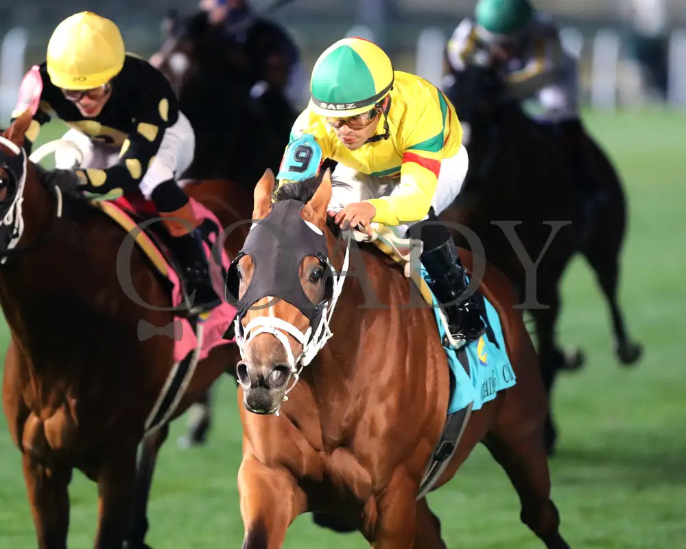 Echo Lane - 111624 Race 11 Cd Inside Finish 01 Churchill Downs