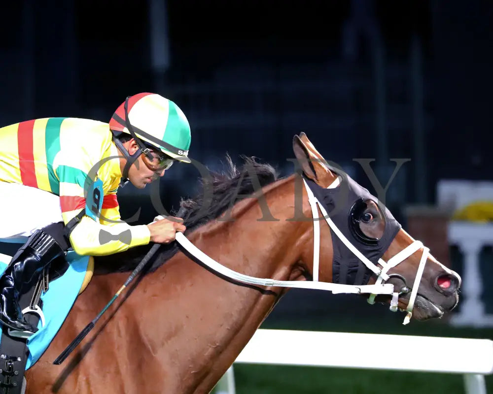 Echo Lane - 111624 Race 11 Cd Tight Finish 01 Churchill Downs