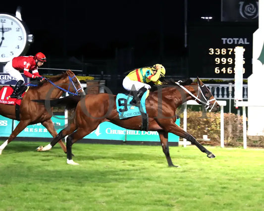ECHO LANE - The Emerald - 11-15-25 - R11 - CD - Finish 01 - Coady Media - Kurtis Coady Photography
