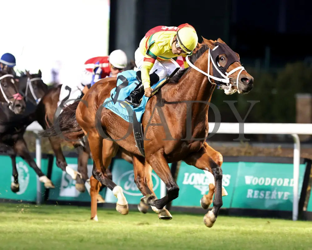 ECHO LANE - The Emerald - 11-15-25 - R11 - CD - Finish 02 - Coady Media - Kurtis Coady Photography