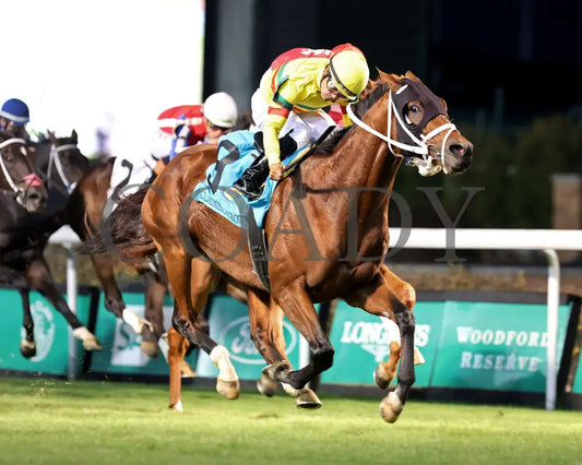 ECHO LANE - The Emerald - 11-15-25 - R11 - CD - Finish 02 - Coady Media - Kurtis Coady Photography