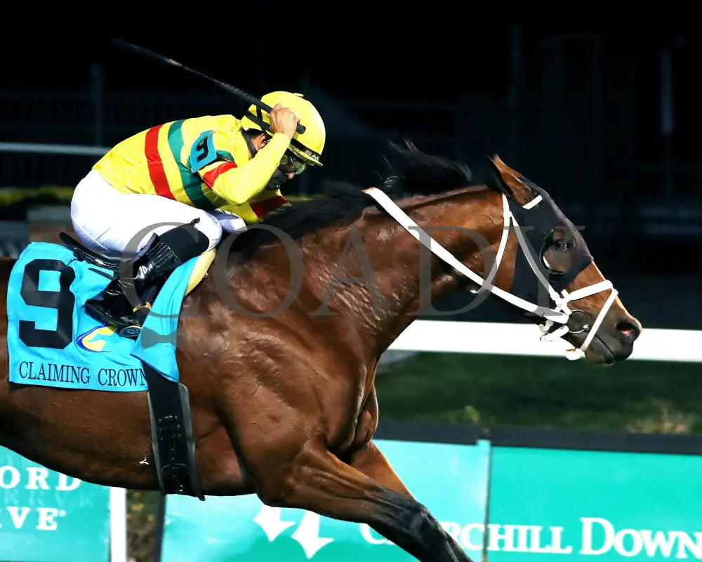 ECHO LANE - The Emerald - 11-15-25 - R11 - CD - Finish 03 - Coady Media - Kurtis Coady Photography