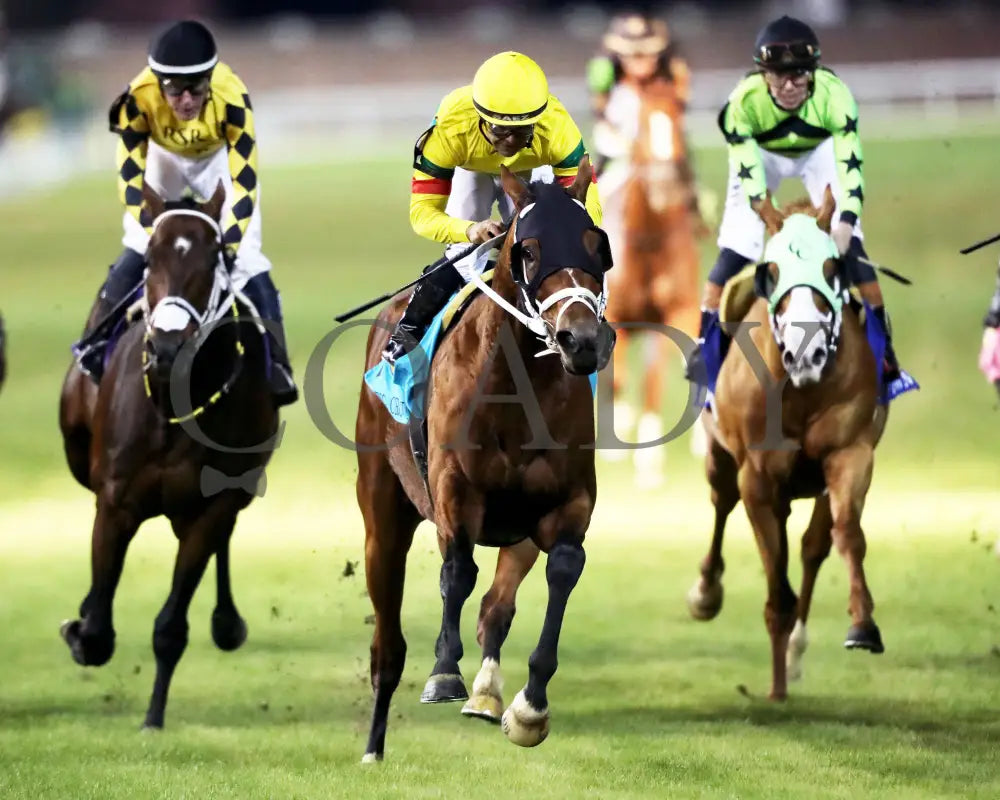 ECHO LANE - The Emerald - 11-15-25 - R11 - CD - Gallop Out 01 - Coady Media - Kurtis Coady Photography