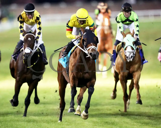 ECHO LANE - The Emerald - 11-15-25 - R11 - CD - Gallop Out 01 - Coady Media - Kurtis Coady Photography
