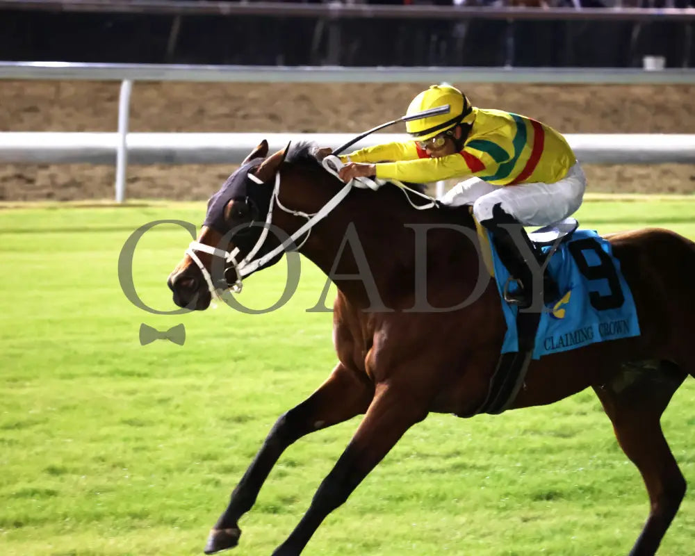 ECHO LANE - The Emerald - 11-15-25 - R11 - CD - Inside Finish 01 - Coady Media - Kurtis Coady Photography
