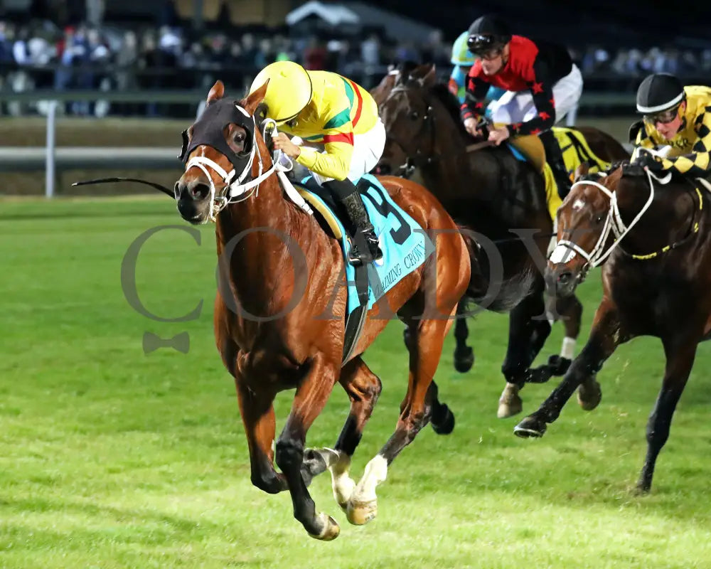 ECHO LANE - The Emerald - 11-15-25 - R11 - CD - Inside Finish 02 - Coady Media - Kurtis Coady Photography