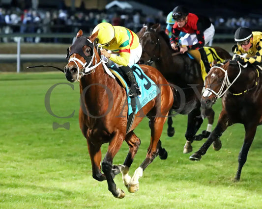 ECHO LANE - The Emerald - 11-15-25 - R11 - CD - Inside Finish 02 - Coady Media - Kurtis Coady Photography
