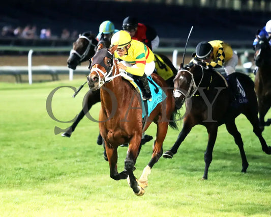 ECHO LANE - The Emerald - 11-15-25 - R11 - CD - Inside Finish 03 - Coady Media - Kurtis Coady Photography