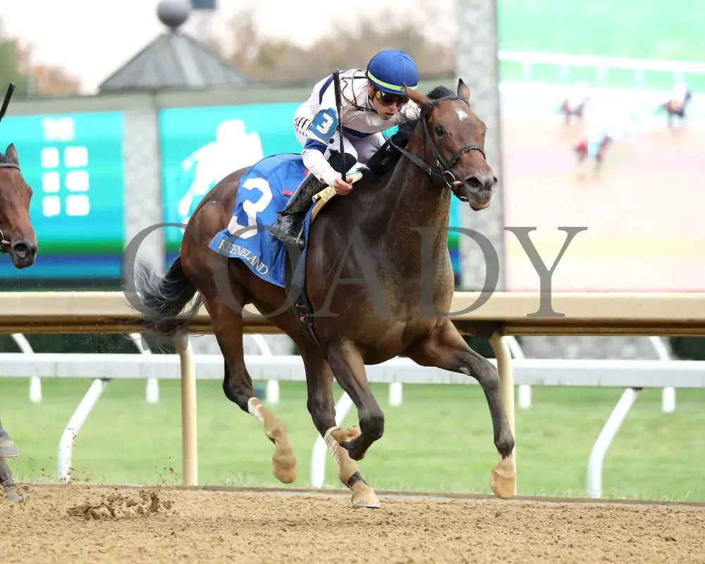 Echo Sound - 10-25-24 R08 Keeneland Race Course Finish 03