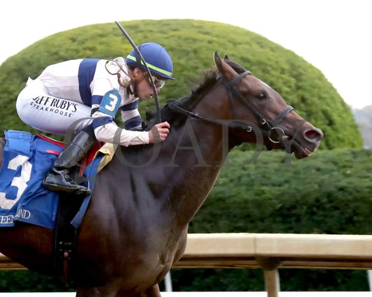 Echo Sound - 10-25-24 R08 Keeneland Race Course Finish 04