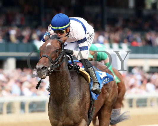 Echo Sound - 10-25-24 R08 Keeneland Race Course Inside Finish 01