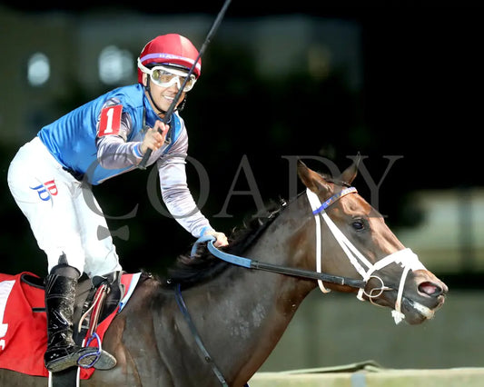 EDY’S FLAME - 101125 - Race 01 - CT West Virginia Triple Crown Nutrition Breeders Classic - Celebration 01 Hollywood