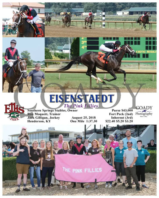 Eisenstaedt - 082518 Race 05 Elp Group Ellis Park