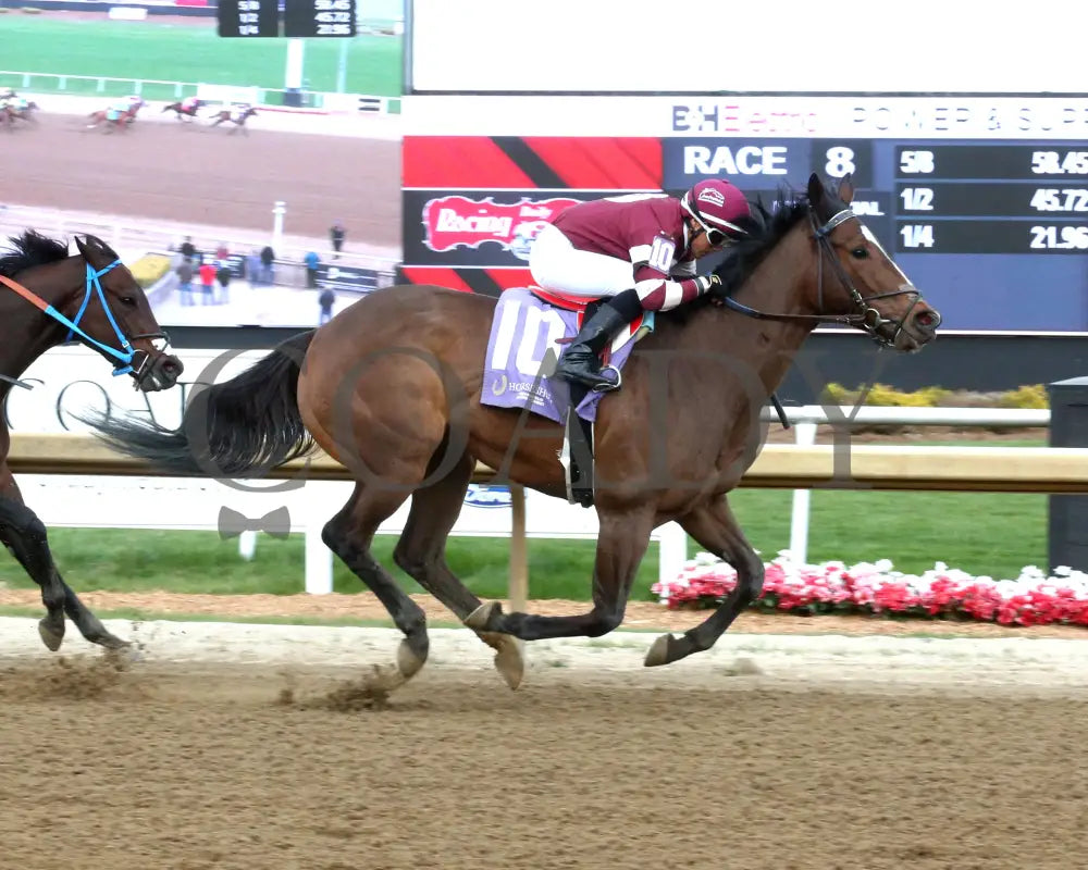 EKATI FLATTER - The Merrill C Roberts Overnight Handicap - 04-15-25 - R08 - Horseshoe Indiana - Finish 01 - Sammantha