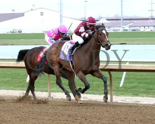 EKATI FLATTER - The Merrill C Roberts Overnight Handicap - 04-15-25 - R08 - Horseshoe Indiana - Finish 02 - Sammantha