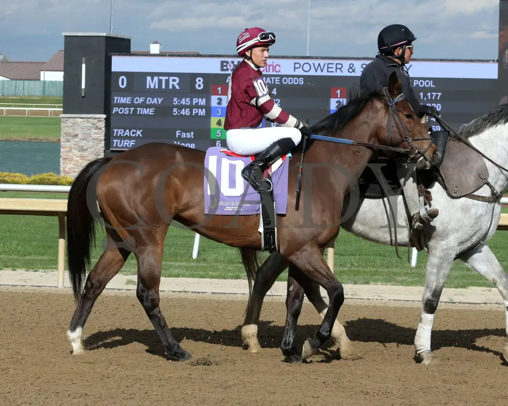 EKATI FLATTER - The Merrill C Roberts Overnight Handicap - 04-15-25 - R08 - Horseshoe Indiana - Post Parade 01