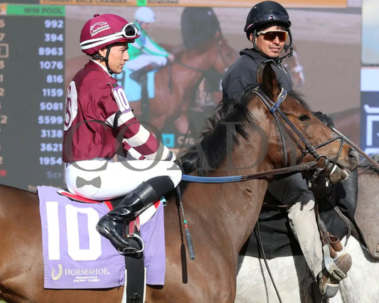 EKATI FLATTER - The Merrill C Roberts Overnight Handicap - 04-15-25 - R08 - Horseshoe Indiana - Post Parade 02
