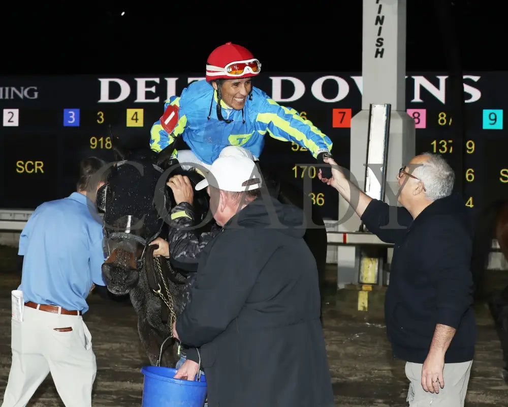 El Dinero - La Bred Premier Prince Stakes 02-03-24 R09 Delta Downs Celebration