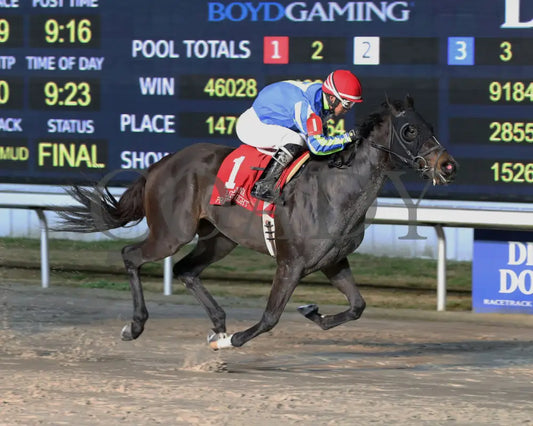 El Dinero - La Bred Premier Prince Stakes 02-03-24 R09 Delta Downs Finish