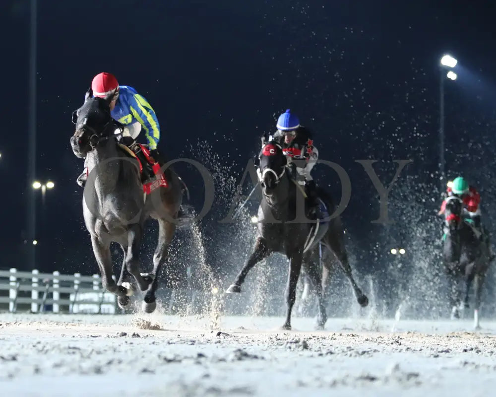 El Dinero - La Bred Premier Prince Stakes 02-03-24 R09 Delta Downs Under Rail