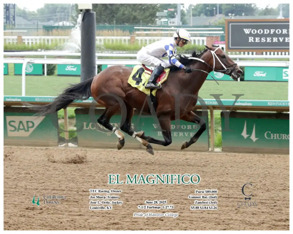 EL MAGNIFICO - 06-28-25 - R04 - CD - Action Churchill Downs
