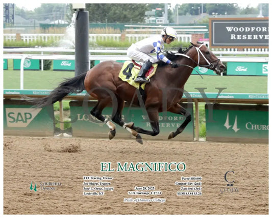 EL MAGNIFICO - 06-28-25 - R04 - CD - Action Churchill Downs