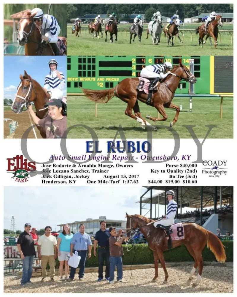 El Rubio - 081317 Race 06 Elp Ellis Park