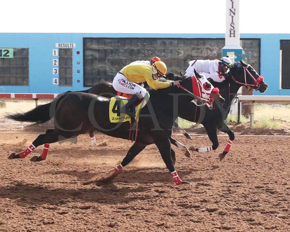 El Vital - New Mexico Classic 870 Stakes 12-15-24 R01 Zia Park Finish