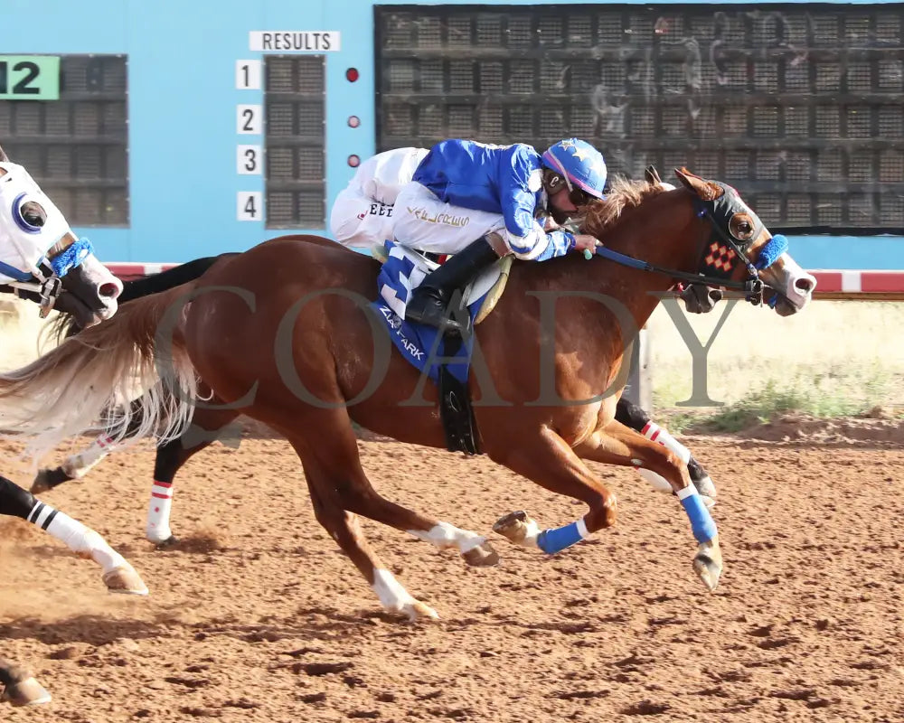 Electrifying Cowboy - Southwest Juvenile Invitational Stakes 12-15-24 R08 Zia Park Finish
