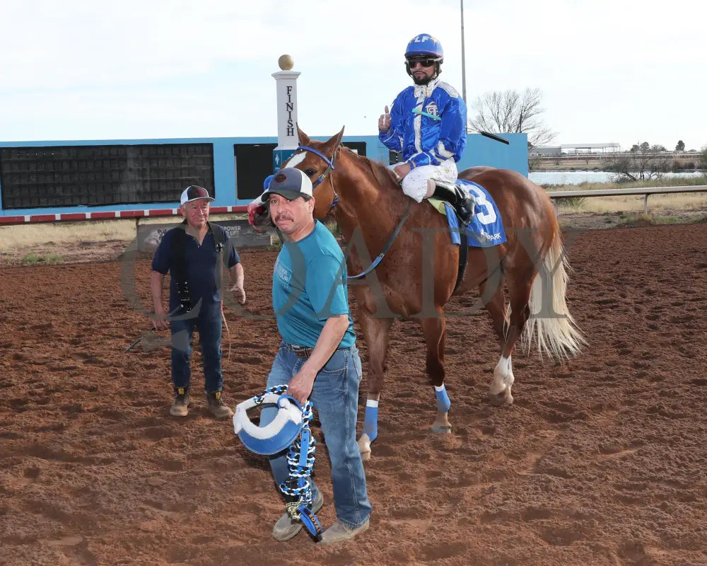 Electrifying Cowboy - Southwest Juvenile Invitational Stakes 12-15-24 R08 Zia Park Return Shot