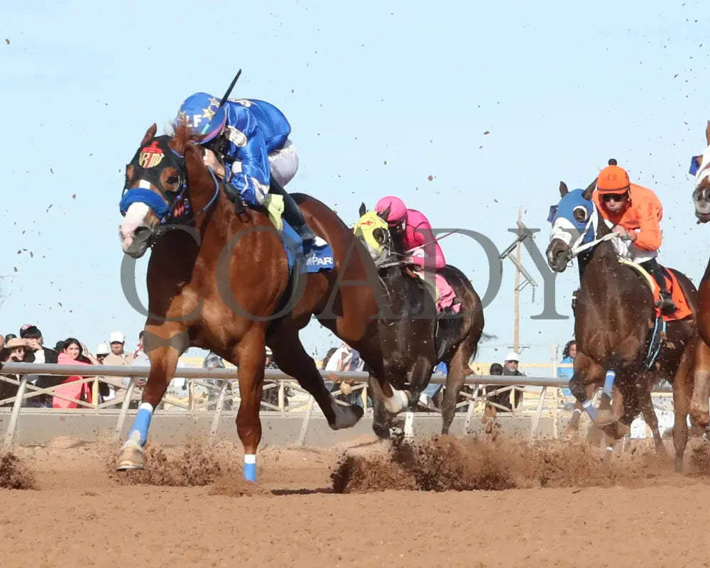 Electrifying Cowboy - Southwest Juvenile Invitational Stakes 12-15-24 R08 Zia Park Under Rail