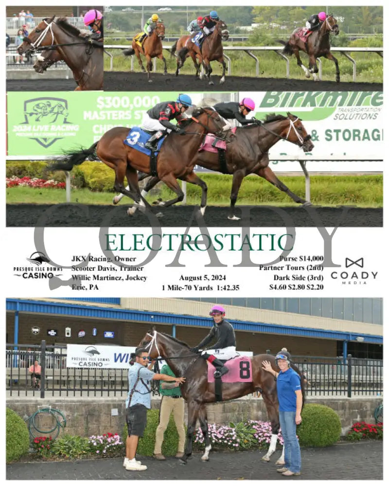 Electrostatic - 08-05-24 R08 Pid Presque Isle Downs