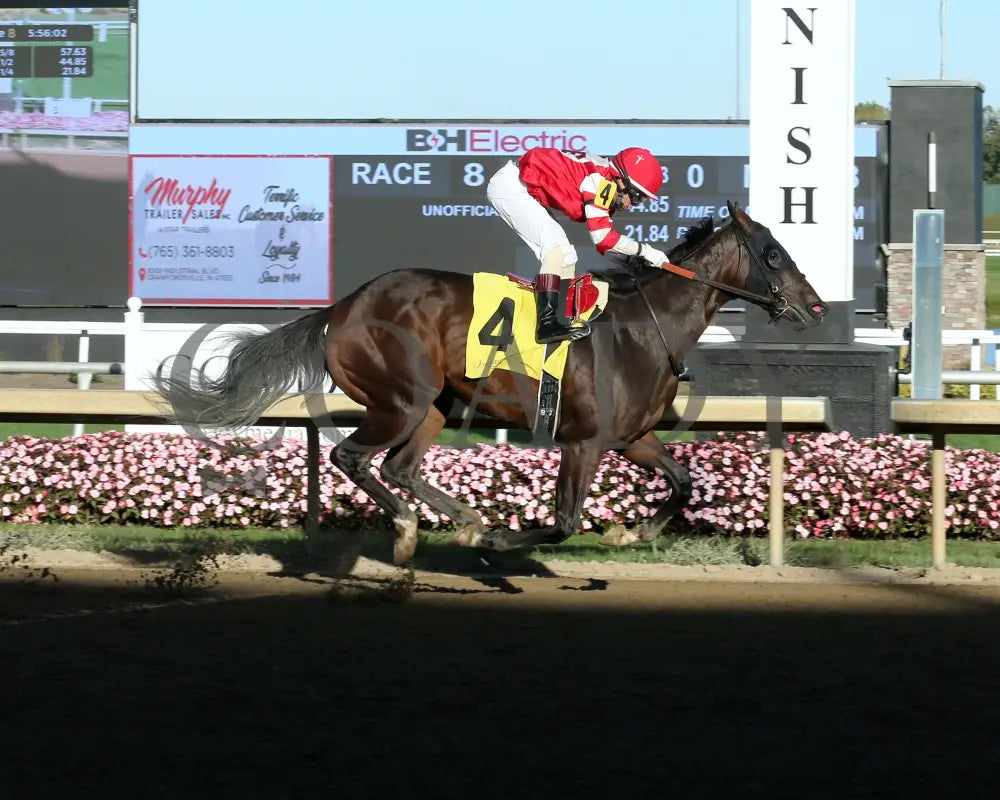 Elegant Justice - Back Home Again 24Th Running 10-02-24 R08 Horseshoe Indiana Finish 01 Sammantha