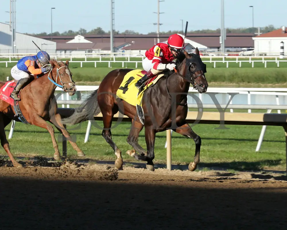 Elegant Justice - Back Home Again 24Th Running 10-02-24 R08 Horseshoe Indiana Finish 02 Sammantha