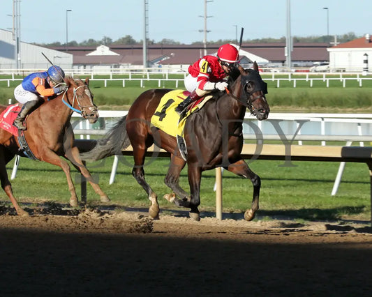Elegant Justice - Back Home Again 24Th Running 10-02-24 R08 Horseshoe Indiana Finish 02 Sammantha