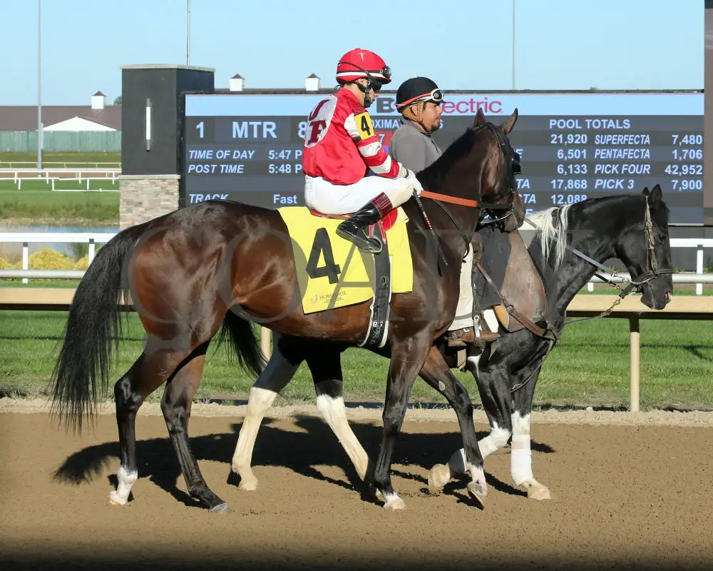Elegant Justice - Back Home Again 24Th Running 10-02-24 R08 Horseshoe Indiana Post Parade 01