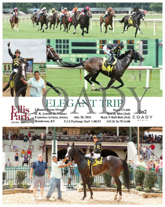 Elegant Trip - 07-28-24 R06 Elp Ellis Park