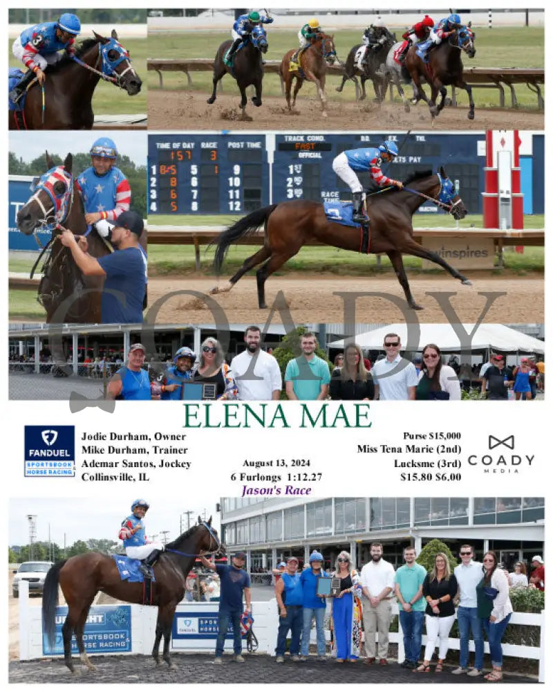 Elena Mae - 08-13-24 R03 Fan Fanduel Sportsbook Horse Racing