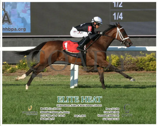 ELITE HEAT - 07-05-25 - R13 - IND - Action 1 Indiana Grand