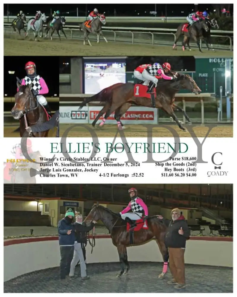 Ellie’s Boyfriend - 12-05-24 R01 Ct Hollywood Casino At Charles Town Races